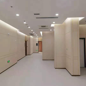  Class A Fireproof HPL Compact Laminate Board Wall Panel