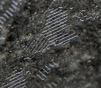 Surface Surface (T3)